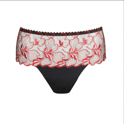 Shorty springdale black rose Prima Donna
