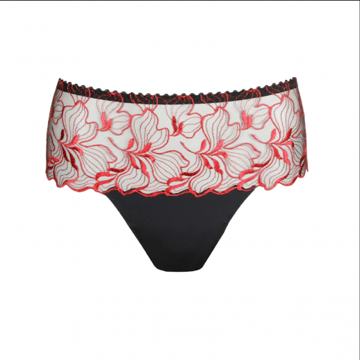 Shorty springdale black rose Prima Donna