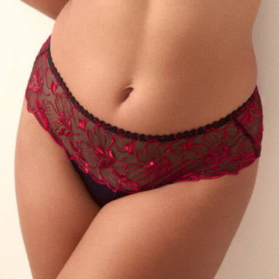 Shorty springdale black rose Prima Donna