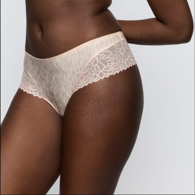 Shorty Monterrey venus Prima Donna